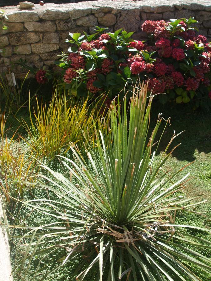 La Sirene Endormie Bed & Breakfast Penmarcʼh Exterior foto